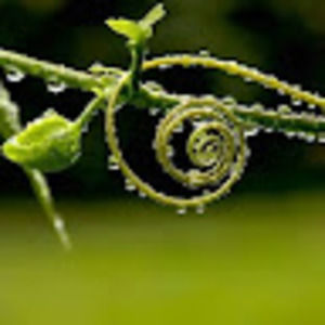 Meet your Posher, Nina